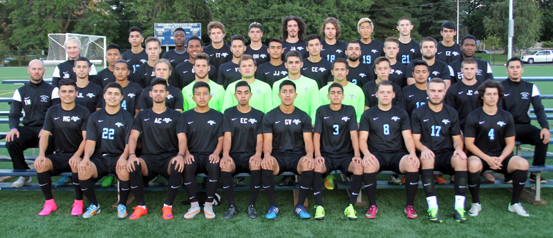 MSOC Team 15